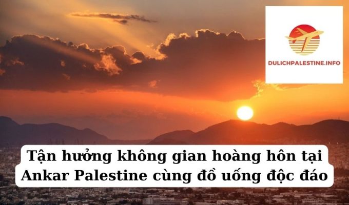 Tận hưởng không gian hoàng hôn tại Ankar Palestine cùng đồ uống độc đáo